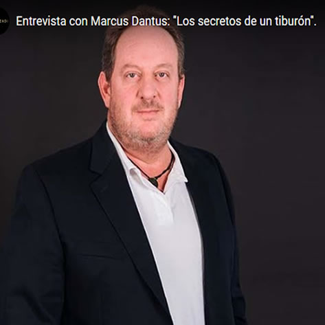 Los Secretos De Un Tiburón