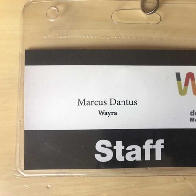 Marcus Dantus